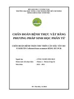 Nhóm 4 chẩn Đoán bệnh tv thứ 5 ca 3