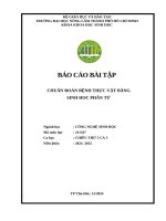 Lí thuyết chẩn Đoán bênh thực vật