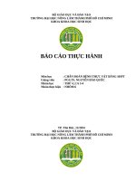 Báo cáo nhóm 6th chẩn Đoán bệnh tv
