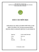 Nhóm 20   chẩn Đoán bệnh thực vật   thứ 5 ca 3
