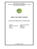 Báo cáo th cđbtv n9 ct4