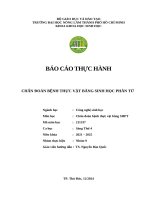 Nhóm 9   chẩn Đoán bệnh tv