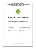 Nhóm 8 thứ 4 ca chiều