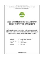 Nhóm 7   chẩn Đoán bệnh tv   thứ 5   ca 3