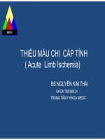 Thiếu máu chi cấp tính