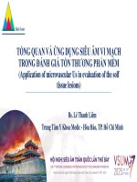 Tổng quan và Ứng dụng siêu Âm vi mạch trong Đánh giá tổn thương phần mềm