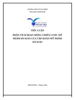 Quản trị chiến lược   phân tích hoạt Động chiến lược mỹ phẩm hyauio của tập doàn mỹ phẩm hyauio