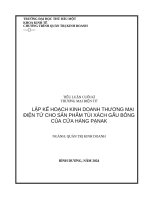 Thương mại Điện tử   lập kế hoạch kinh doanh thương mại Điện tử cho sản phẩm túi xách gấu bông của cửa hàng pạnak