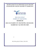 Nghiên cứu thị trường   báo cáo nghiên cứu thị trường cho doanh nghiệp kfc tại thủ dầu một