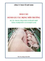 BÁO CÁO ĐÁNH GIÁ TÁC ĐỘNG MÔI TRƯỜNG DỰ ÁN: TRANG TRẠI CHĂN NUÔI KẾT HỢP NÔNG NGHIỆP HỮU CƠ TỔ HỢP XANH