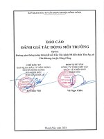 Đánh giá tác Động môi trường dự Án Đường giao thông nông thôn kết nối cầu tây kênh n8 Đến thôn tân Ấp, xã tân khang, huyện nông cống