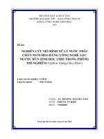 Nghiên cứu mô hình xử lý nước thải chăn nuôi heo bằng công nghệ lọc ngược bùn sinh học usbf trong phòng thí nghiệm (upflow sludge bio filter)