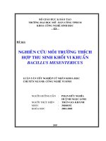Nghiên cứu môi trường thích hợp thu sinh khối vi khuẩn bacillus mesentericus