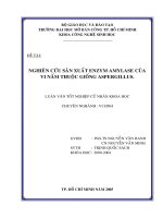 Nghiên cứu sản xuất enzym amylase của vi nấm thuộc giống aspergillus