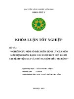 Kiều Đình Luyện - 631058 - Kltn Đợt Chính Hk2 22.23- Nhd Pgs.ts Bùi Trần Anh Đào.doc