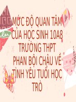 MỨC ĐỘ QUAN TÂM CỦA HỌC SINH 10A8 TRƯỜNG THPT PHAN BỘI CHÂU VỀ TÌNH YÊU TUỔI HỌC TRÒ