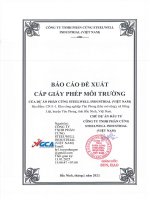Báo cáo Đề xuất cấp giấy phép môi trường Đối với cơ sở “dự Án phần cứng steelwell industrial (việt nam)