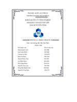 Ề tài 11  phân tích pca