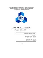 Linear algebra project   class cc11