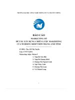 Đ ti  xây dựng chiến lược makerting của website shop thi trang anh tình