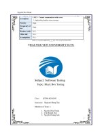 Subject  software testing topic  black box testing