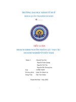 tiểu luận hoạch Định nguồn nhân lực tại các doanh nghiệp ở việt na