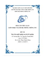Báo cáo tiểu luận giới thiệu ngành hệ thống thông tin Đề tài mục tiêu nghề nghiệp sau khi tốt nghiệp