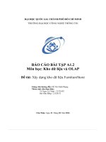 Kho dữ liệu và olap Đề tài  xây dựng kho dữ liệu furniturestore