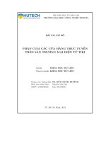 Đồ án cơ sở phân cụm các cửa hàng trực tuyến trên sàn thương mại Điện tử tiki