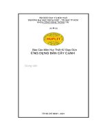 Báo cáo môn học thiết kế giao diện ứng dụng bán cây cảnh