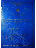 Thử Nghiệm Trồng Nấm Rơm Trên Giá Thể Hỗn Hợp Rơm Và Lá Keo Lai Dưới Tán Rừng Trồng Đã Khép Tán.pdf