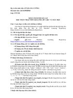 Báo cáo Đánh giá A13 Khai phá dữ liệu và máy học