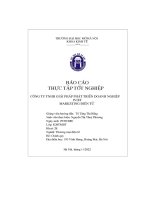 Báo cáo thực tập tốt nghiệp công ty tnhh giải pháp phát triển doanh nghiệp iviet marketing Điện tử