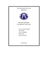 Bài tập lớn môn  luật hình sự việt nam 2