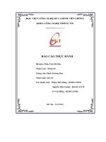 Báo cáo thực hành bộ môn  phân tích mã Độc