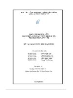 Đề tài  giao thức bảo mật ipsec