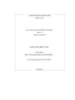 Báo cáo thực tập nghề nghiệp 1 công chức tư pháp hộ tịch ủy ban nhân dân xã việt thống, tx quế võ, tỉnh bắc ninh