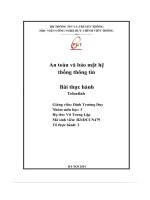 An toàn và bảo mật hệ thống thông tin bài thực hành telnetlab