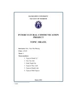 Intercultural communication project topic  brazil