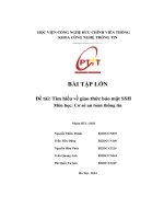 Bài tập lớn Đề tài  tìm hiểu về giao thức bảo mật ssh