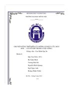 Chuyên Đề sự phổ biến của Động cơ máy cắt, máy mài … có cổ góp trong cuộc sống