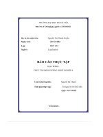 Công ty tnhh hanmiflexible vina