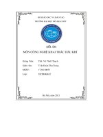 Thi t k  khai thác dầu b ng phương pháp gaslift liên tục cho gi ng dh 18 6 mỏ Đại hùng