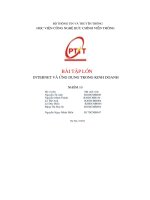 Bài tập lớn internet và ứng dụng trong kinh doanh
