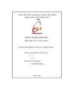 báo cáo bài tập lớn môn học  iot và ứng dụng chủ Đề  hệ thống tưới cây thông min