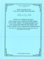 Báo Cáo Đề Xuất Cấp Giấy Phép Môi Trường Của Công Ty Tnhh Parapex.pdf
