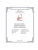 Bài thực hành 1  hệ Điều hành windows windows command line