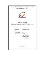 Bài tập nhóm môn học  hệ Điều hành windows và linux:unix d