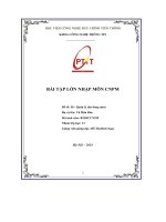 Bài tập lớn nhập môn cnpm Đề số  50   quản lý sân bóng mini