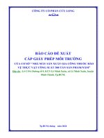 Báo cáo Đề xuất cấp giấy phép môi trường của công ty cổ phần cửu long
